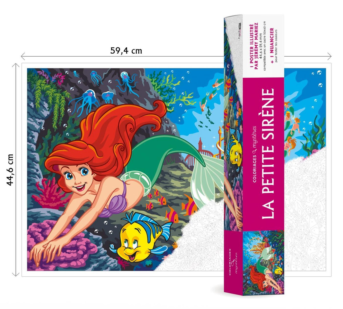 Poster à colorier Ariel